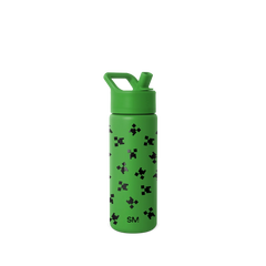 Summit Water Bottle with Straw Lid